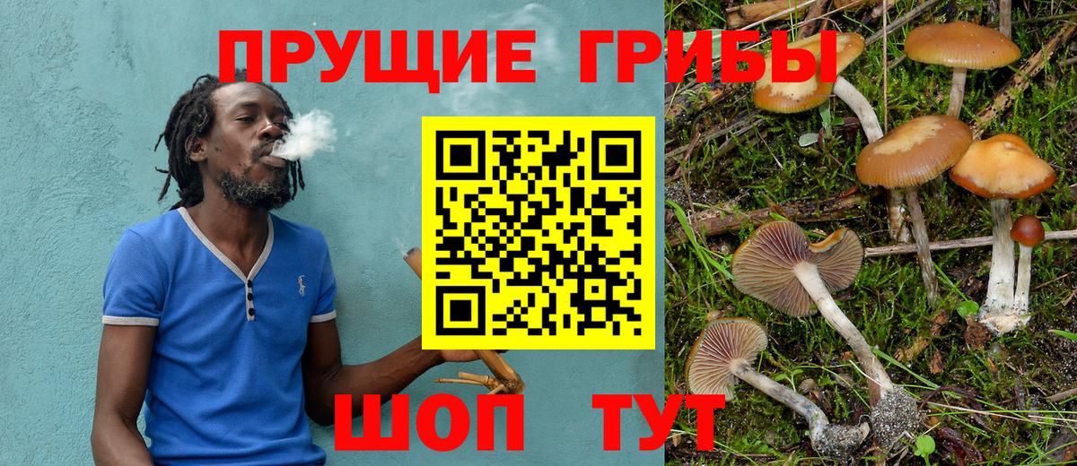 Галлюциногенные грибы Cubensis Стерлитамак