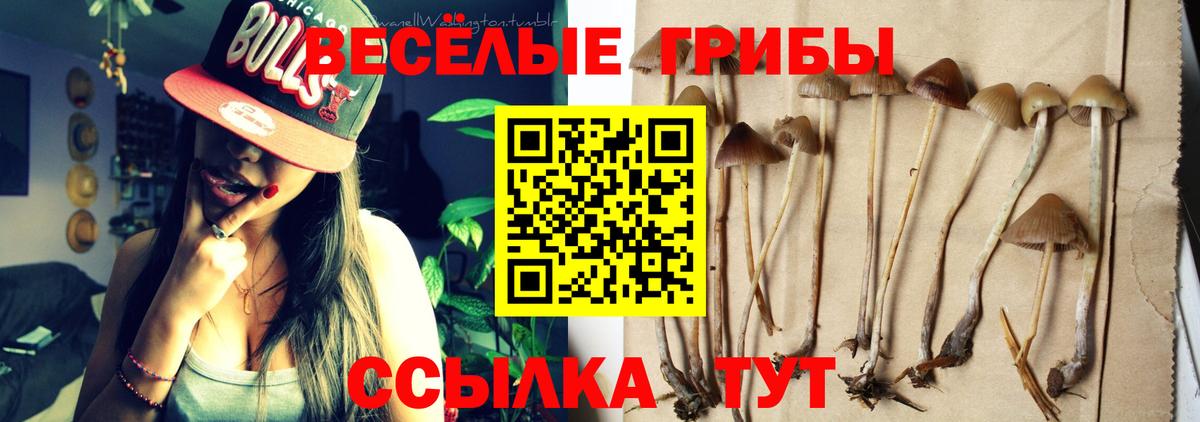 Псилоцибиновые грибы прущие грибы  Вход с VPN  Стерлитамак 